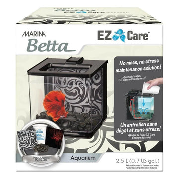 Betta Tank Fighter Fish Aquarium - Amazing Amazon
